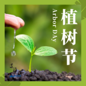 3月12日植樹(shù)節(jié)——讓世界多點(diǎn)綠色